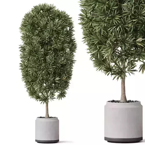 Plants collection 841 3D model