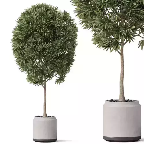 Plants collection 842 3D model