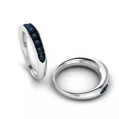Ring Model 2137