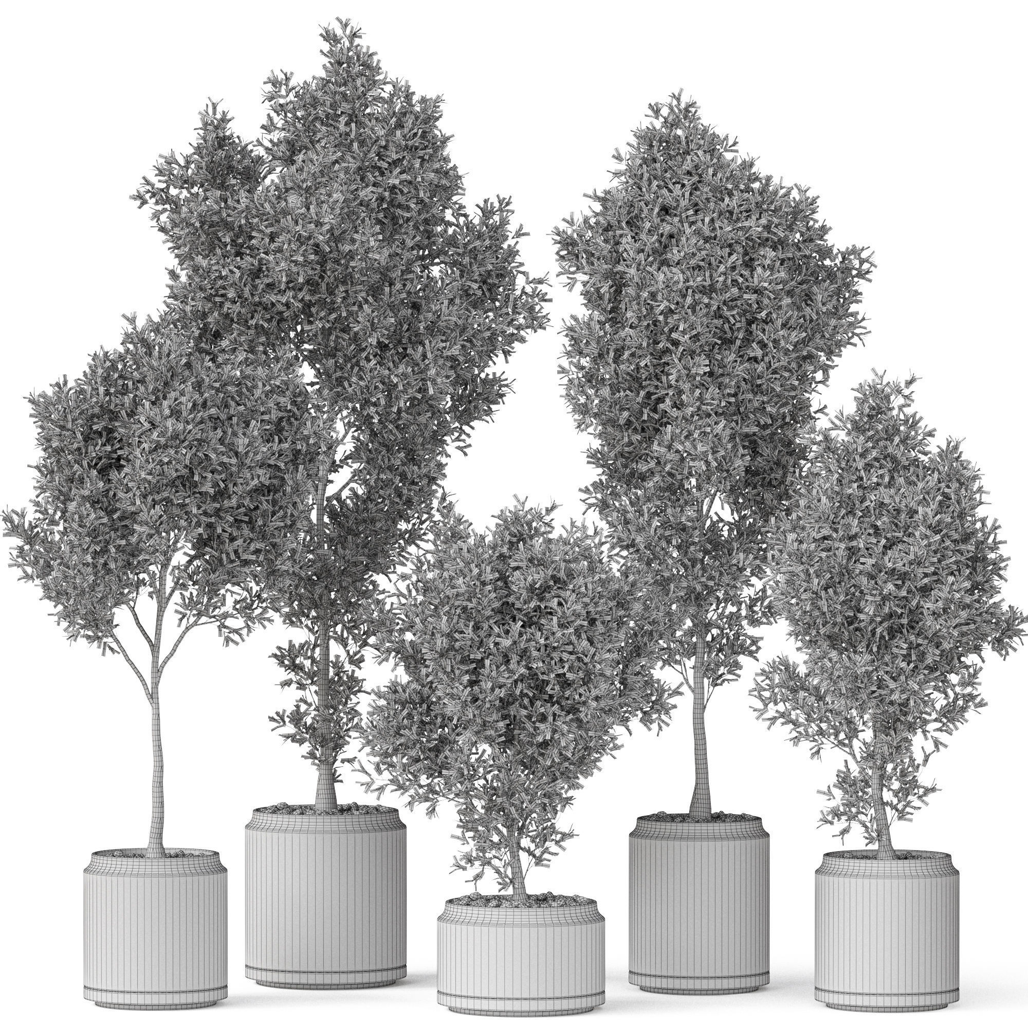 Plants collection 846 3D model_3