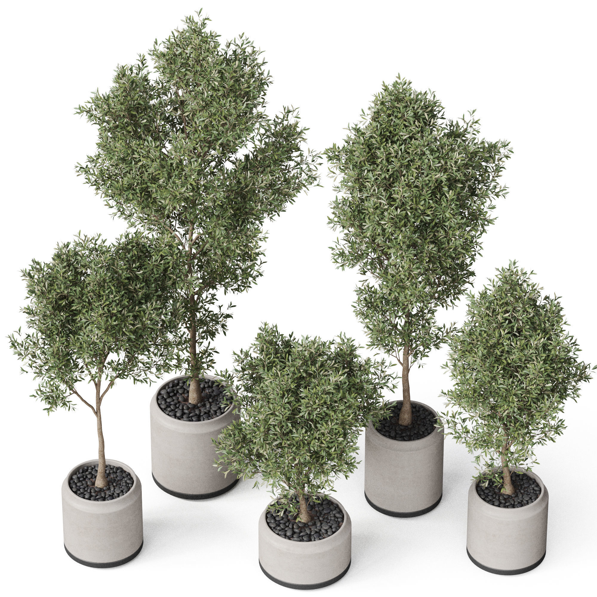 Plants collection 846 3D model_2