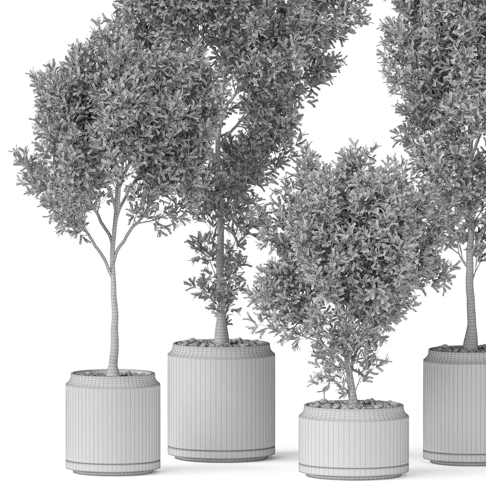 Plants collection 846 3D model_4