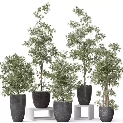 Plants collection 848