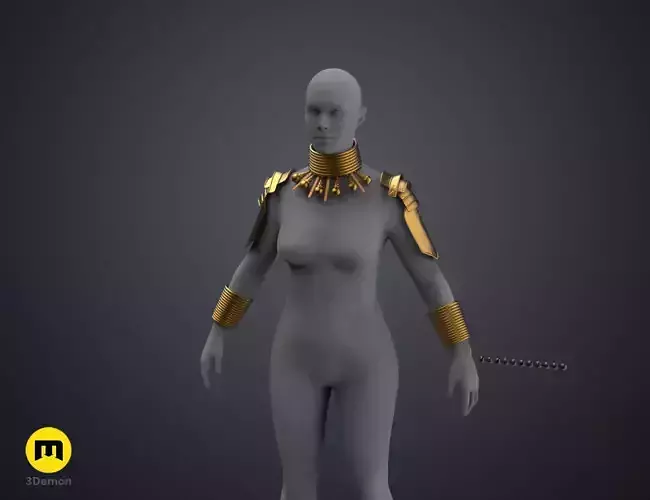 Dora Milaje Armor and Accesories - Black Panther 3D print model