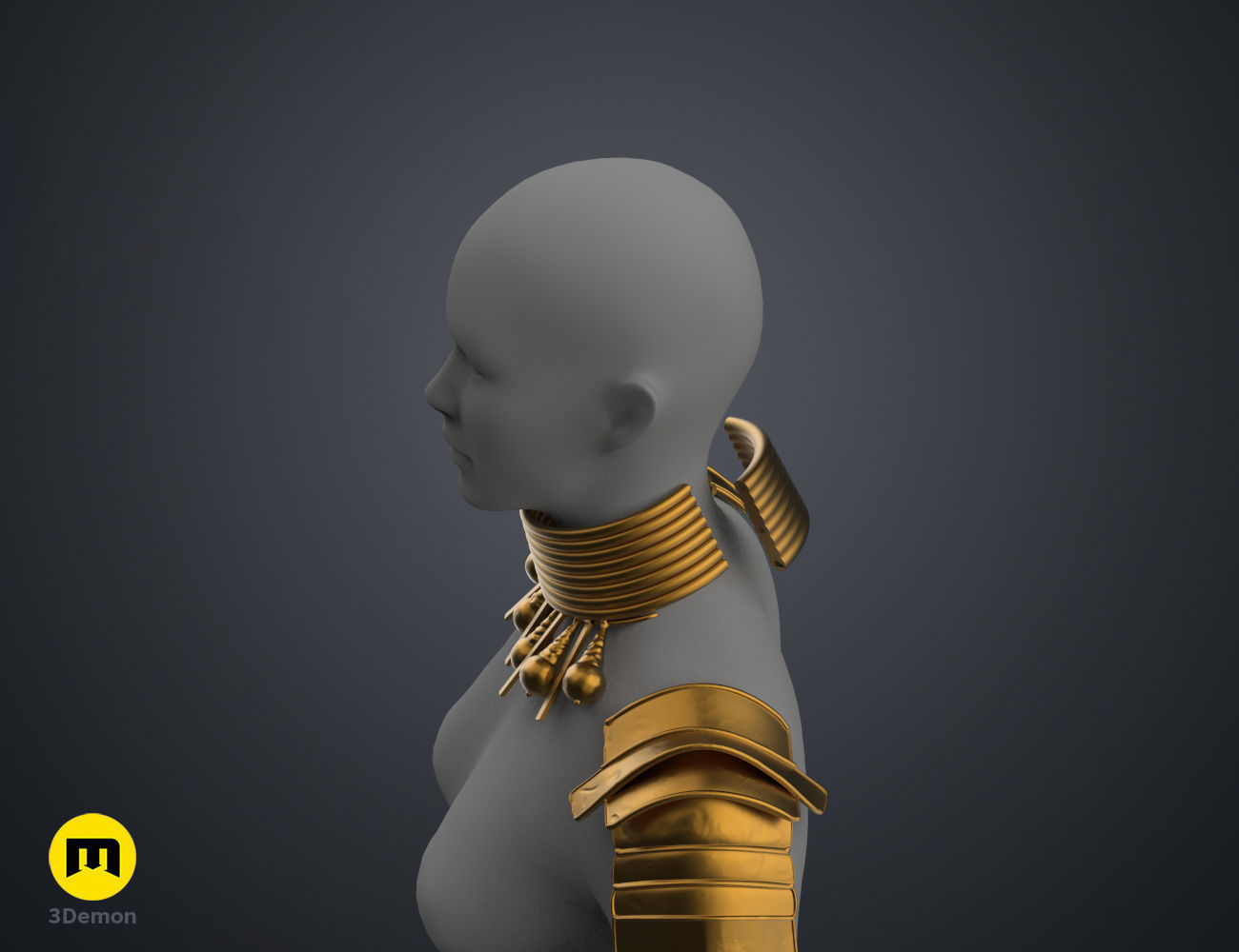 Dora Milaje Armor and Accesories - Black Panther 3D print model_31