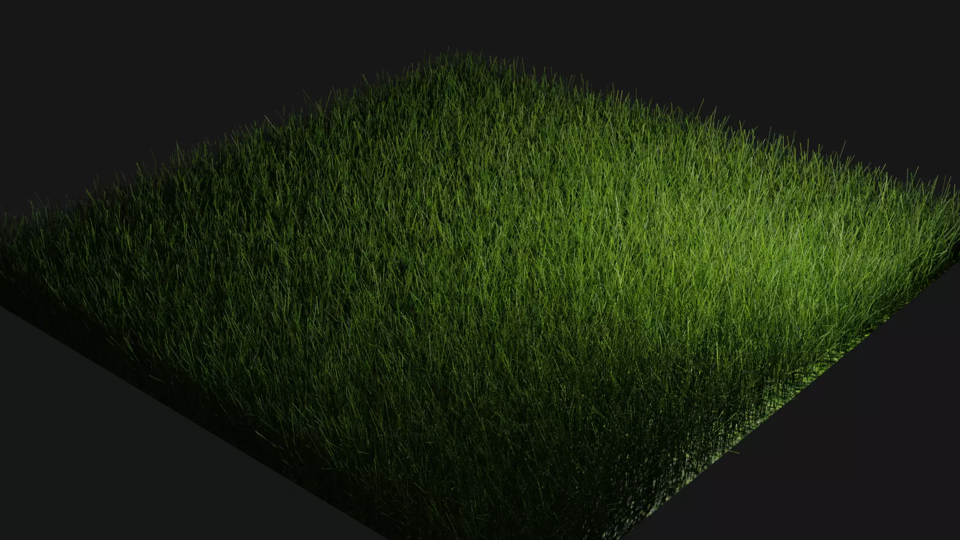 A tile of grasspatch Free 3D model_0