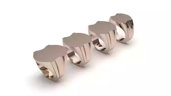 signet ring hollow and solid 8 pieces Model1