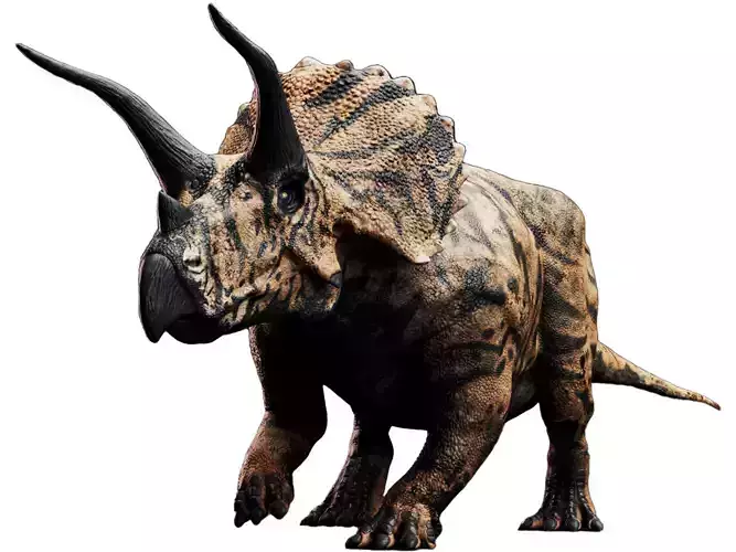 Triceratops Unreal Engine and Unity Projects Low-poly 3D model
