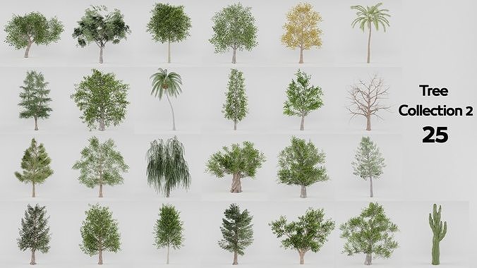 Tree Collection 2 palm Low-poly 3D model