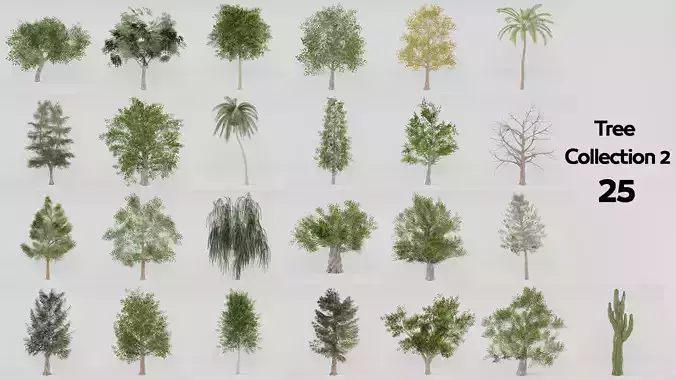 Tree Collection 2 palm