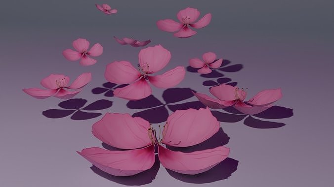 Sakura Flower Low-poly 3D model