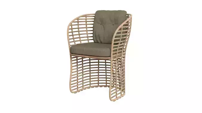Low Detail 3D CANE LINE BASKET CHAIR