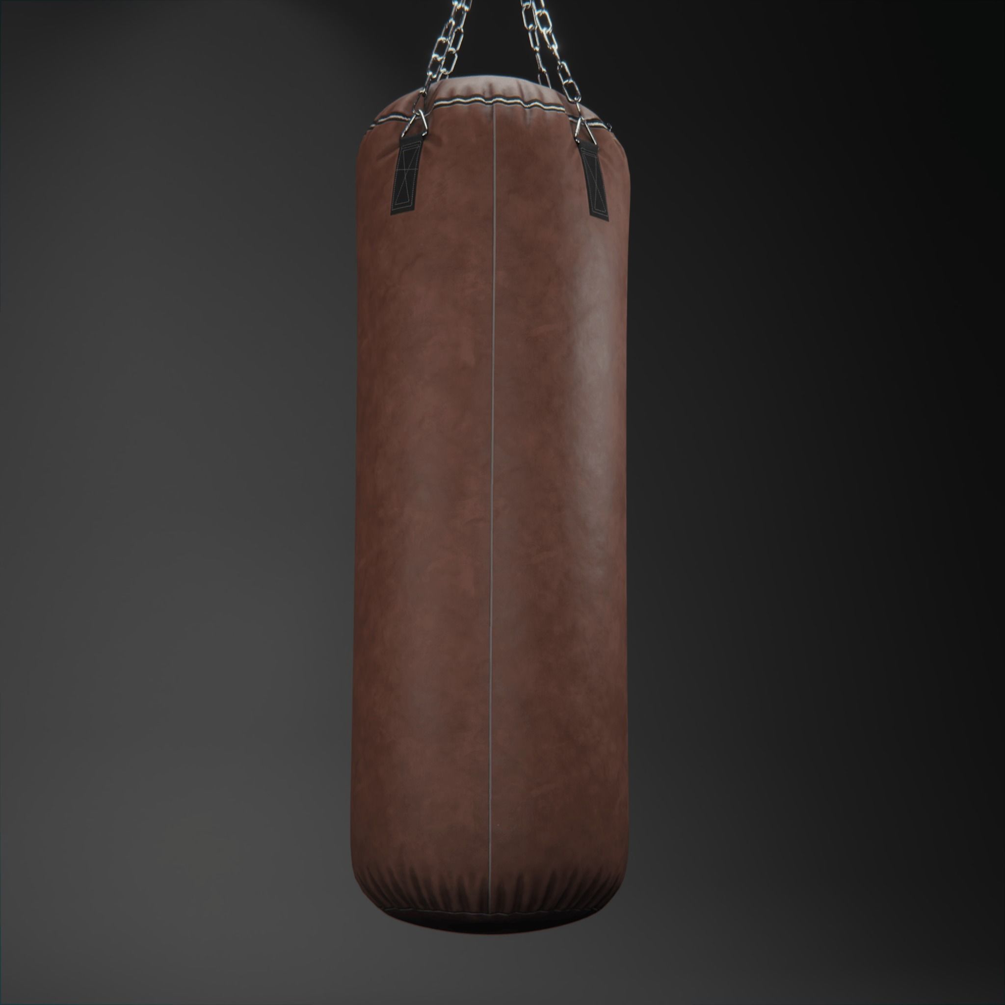 Punching Bag 3D model_2