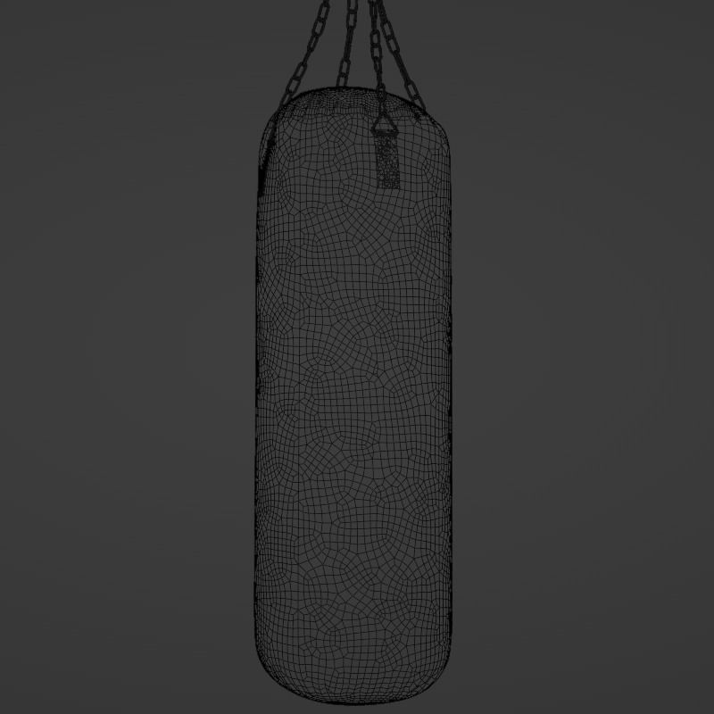 Punching Bag 3D model_4