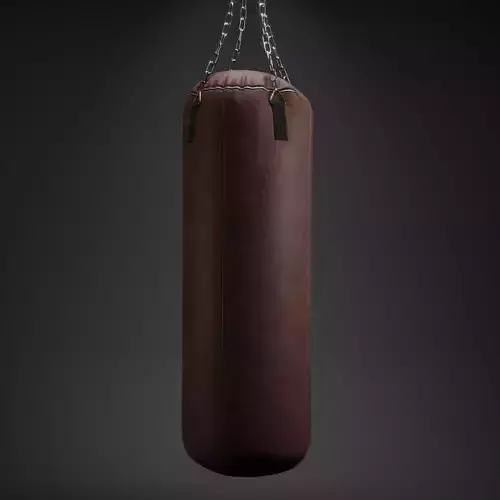 Punching Bag 3D model