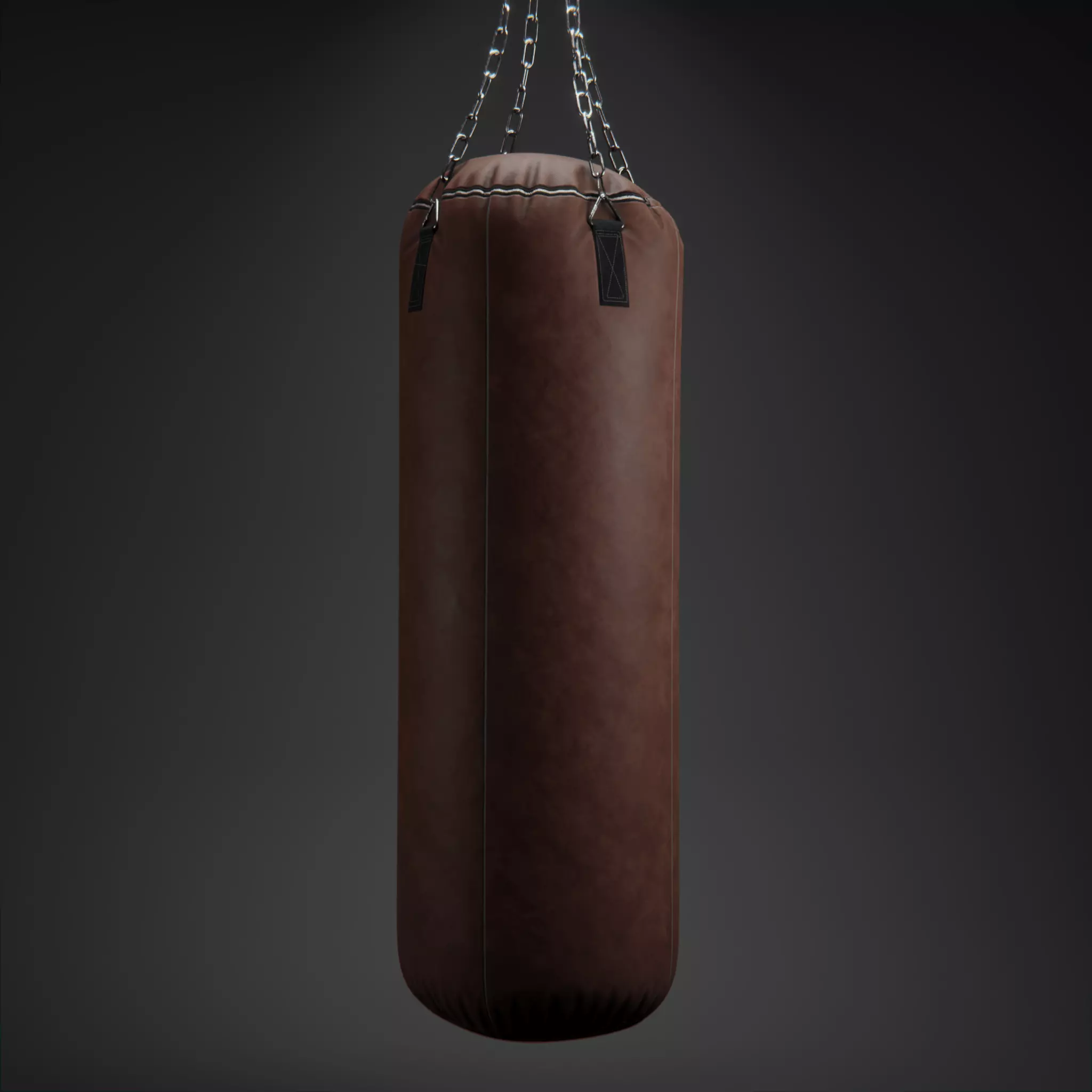 Punching Bag 3D model_0