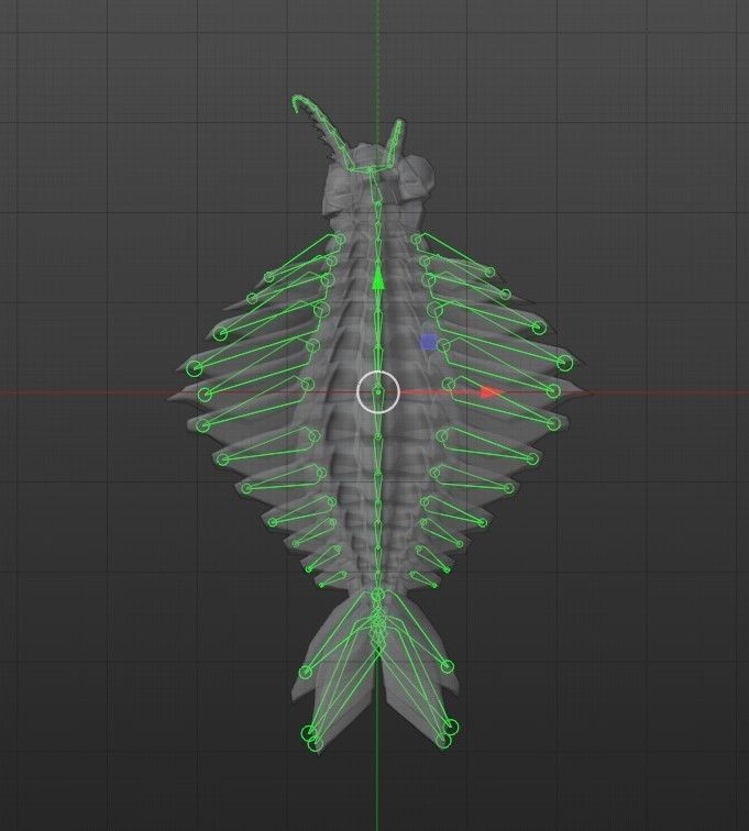 Anomalocaris Canadensis Low-poly 3D model_14