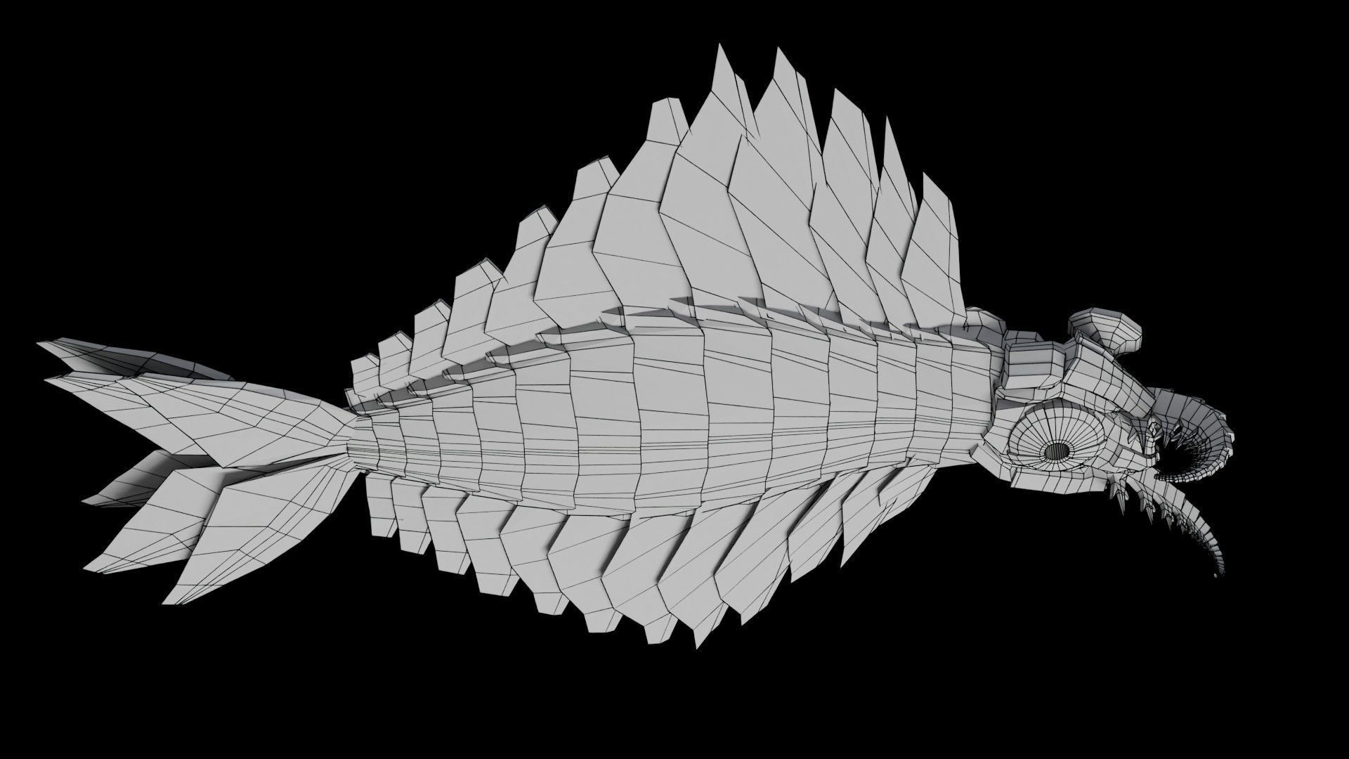 Anomalocaris Canadensis Low-poly 3D model_27