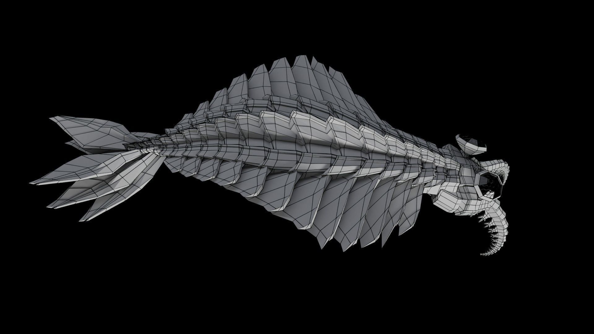 Anomalocaris Canadensis Low-poly 3D model_23