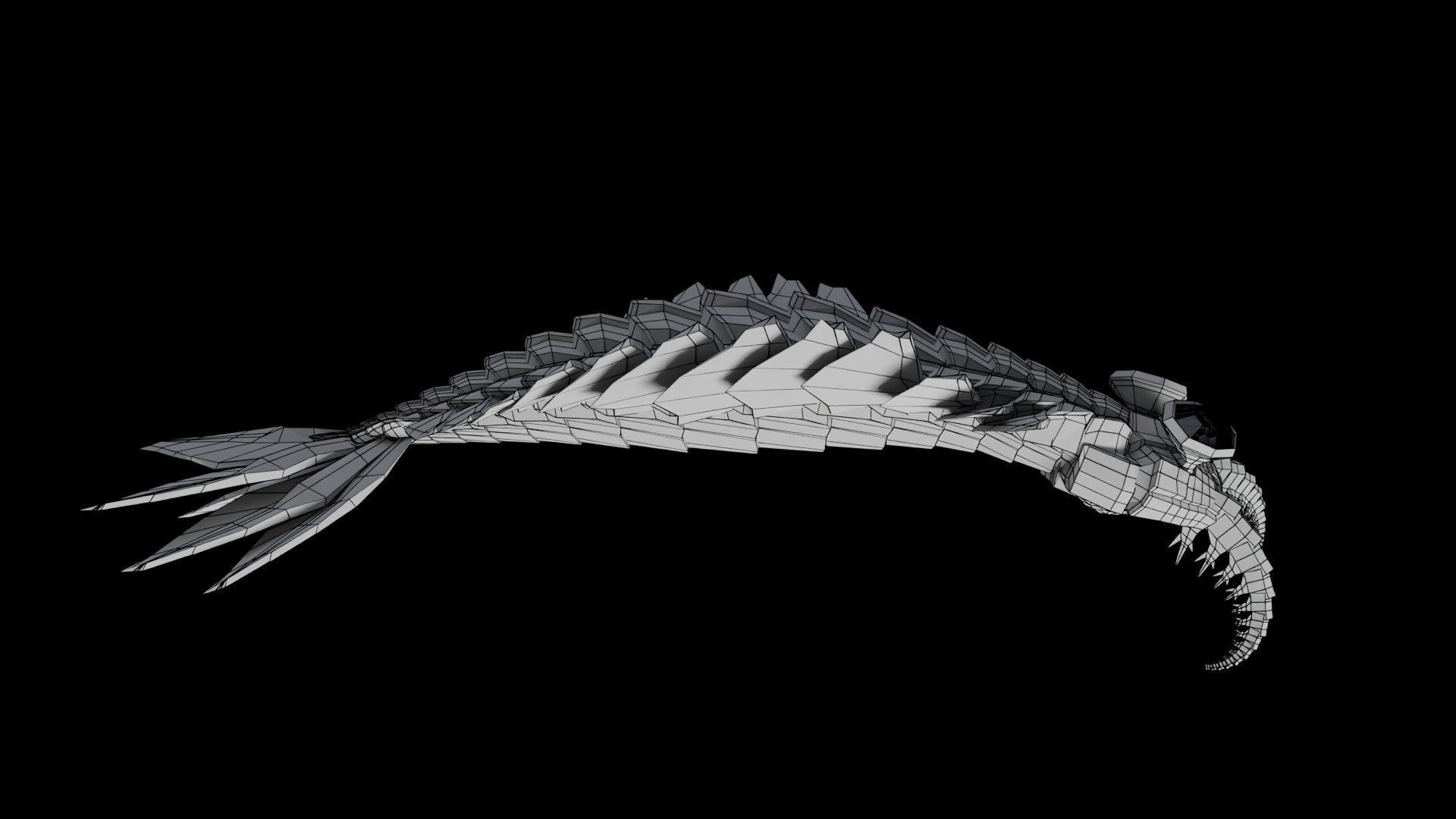 Anomalocaris Canadensis Low-poly 3D model_11