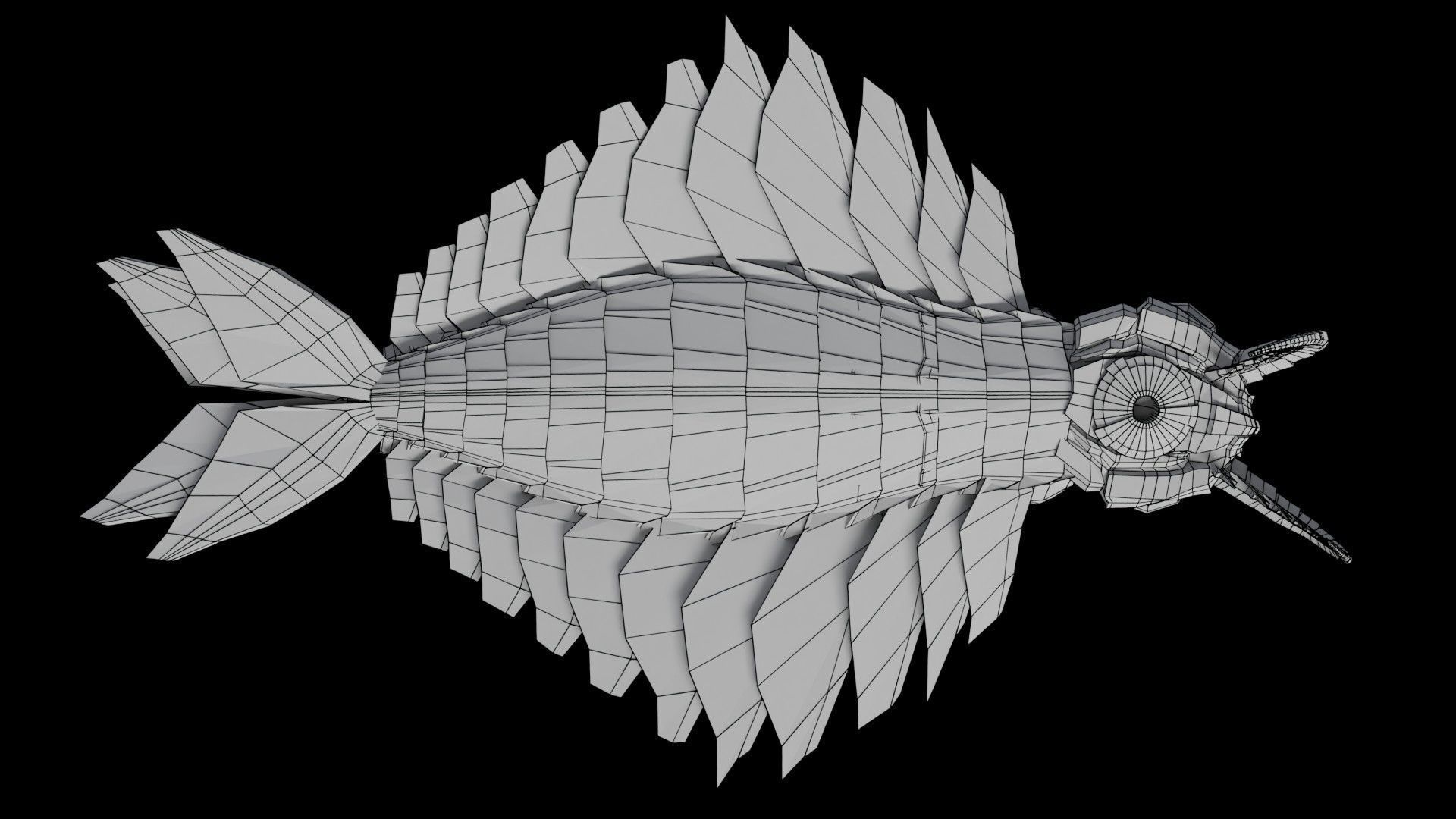 Anomalocaris Canadensis Low-poly 3D model_29
