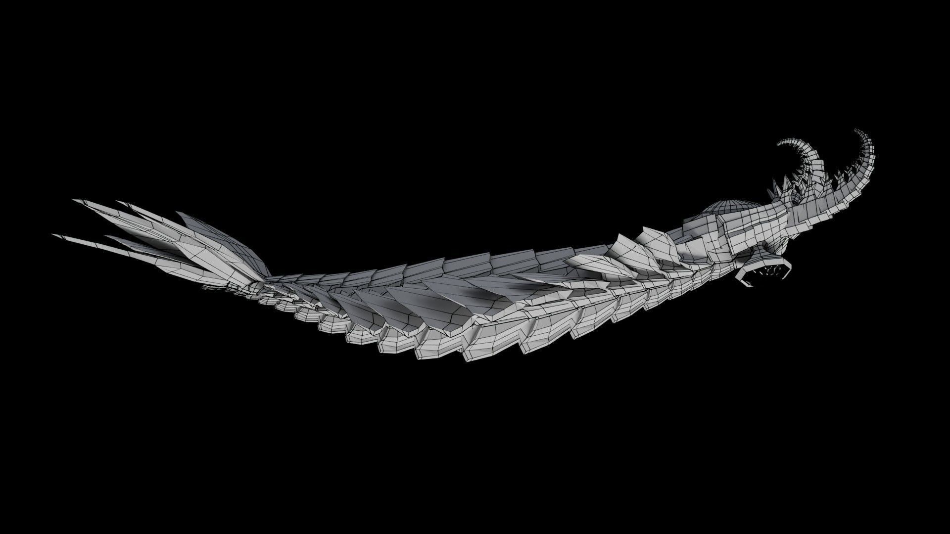 Anomalocaris Canadensis Low-poly 3D model_33