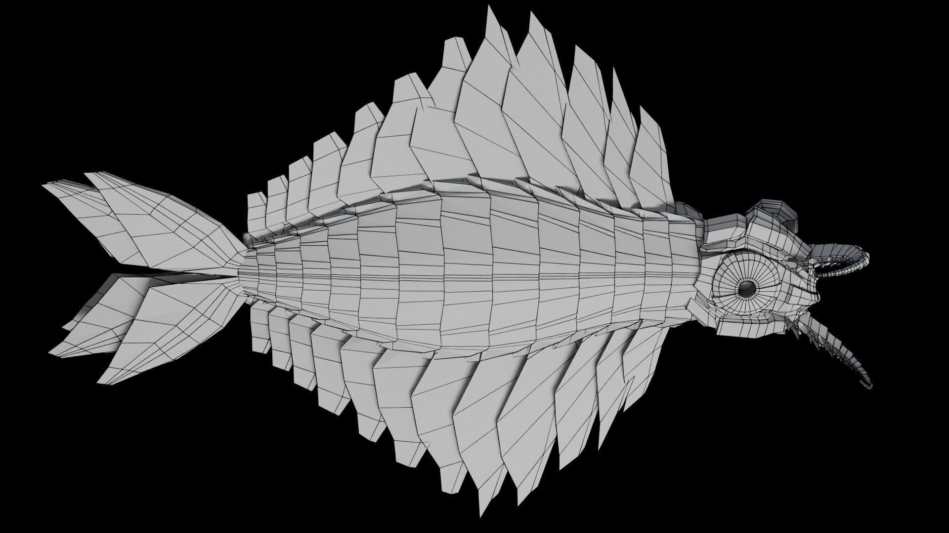 Anomalocaris Canadensis Low-poly 3D model_7