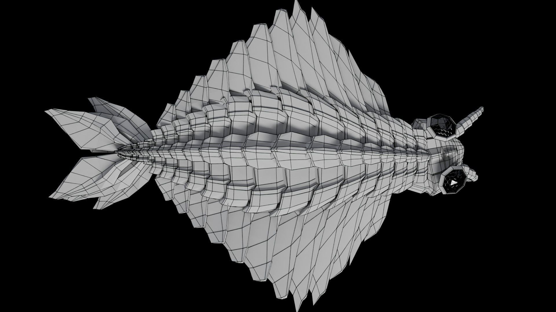 Anomalocaris Canadensis Low-poly 3D model_5