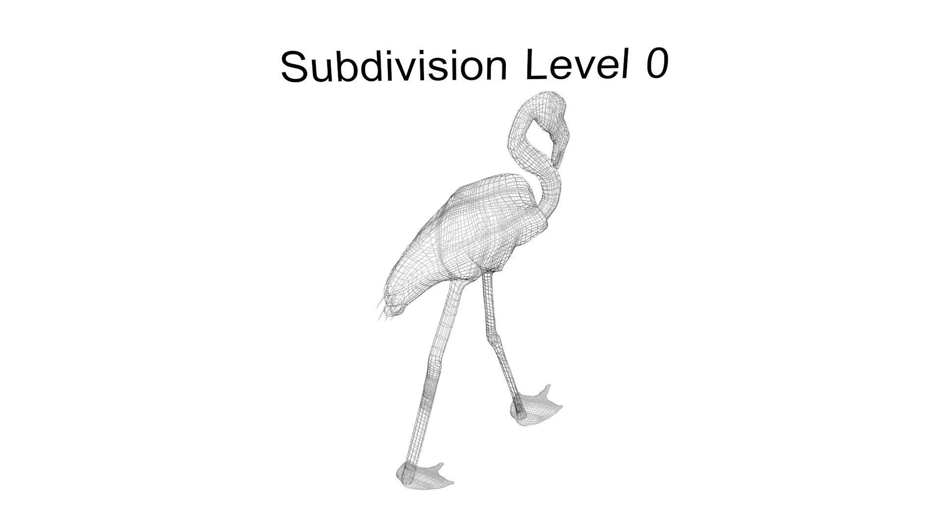 Flamingo 3D model_20