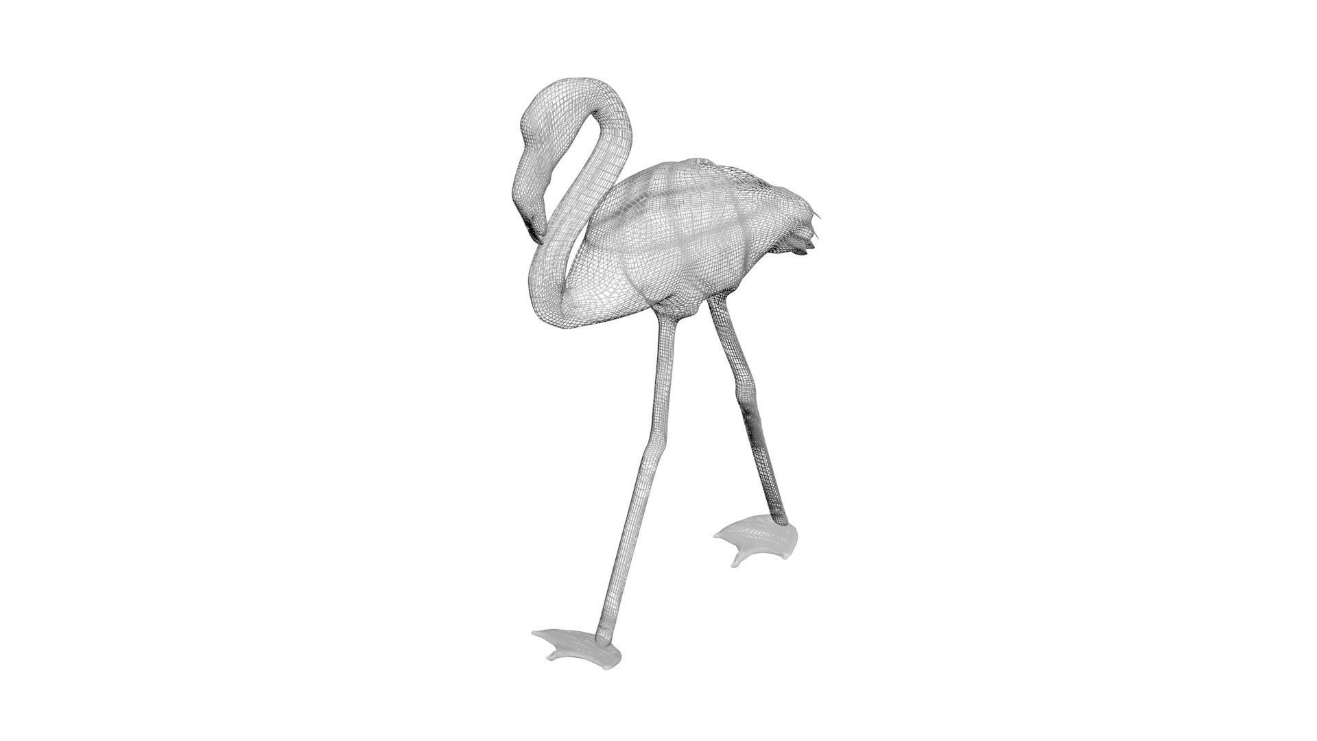 Flamingo 3D model_13