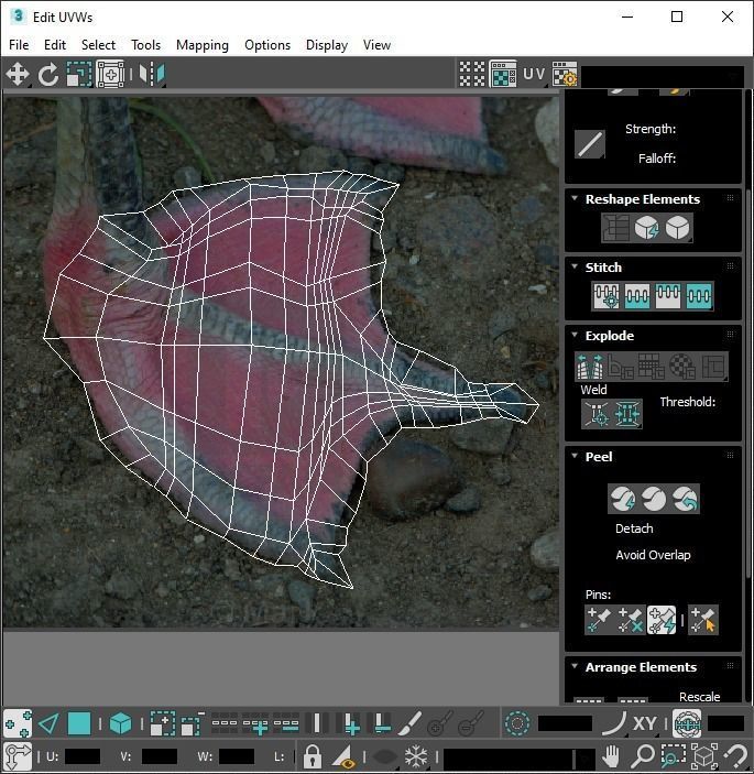 Flamingo 3D model_27