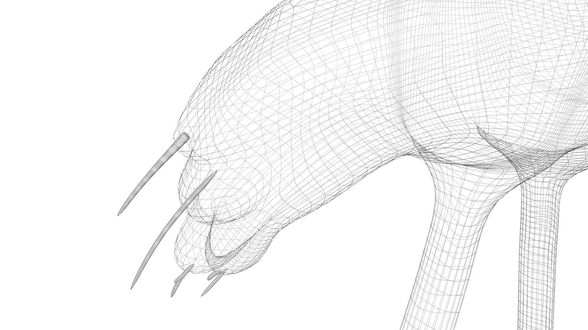 Flamingo 3D model_16