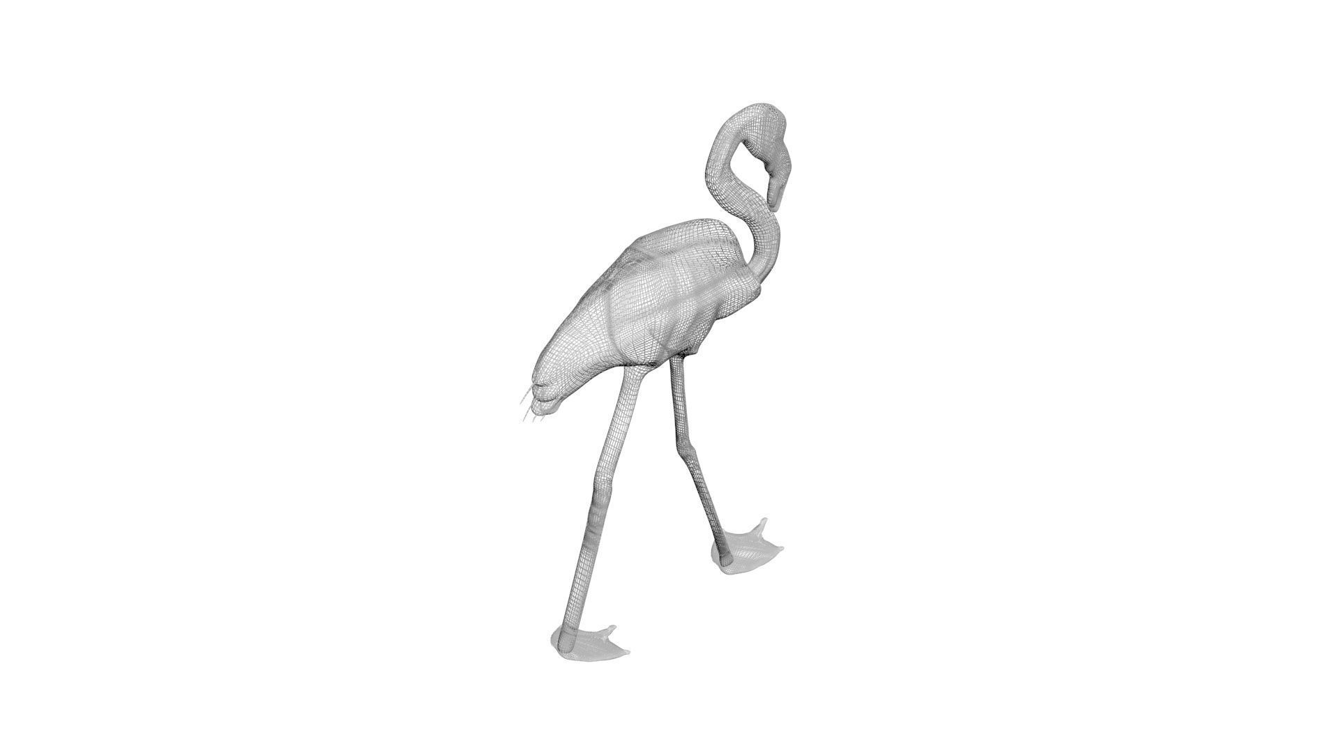 Flamingo 3D model_11