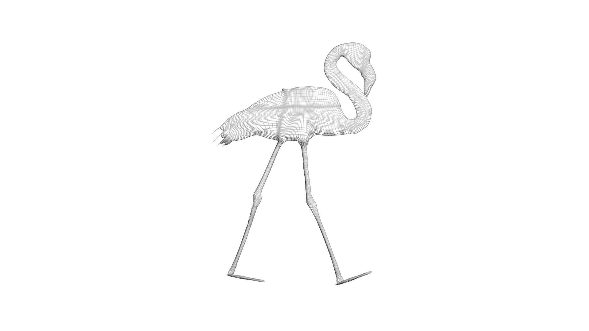 Flamingo 3D model_18