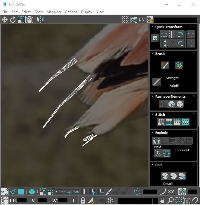Flamingo 3D model_26