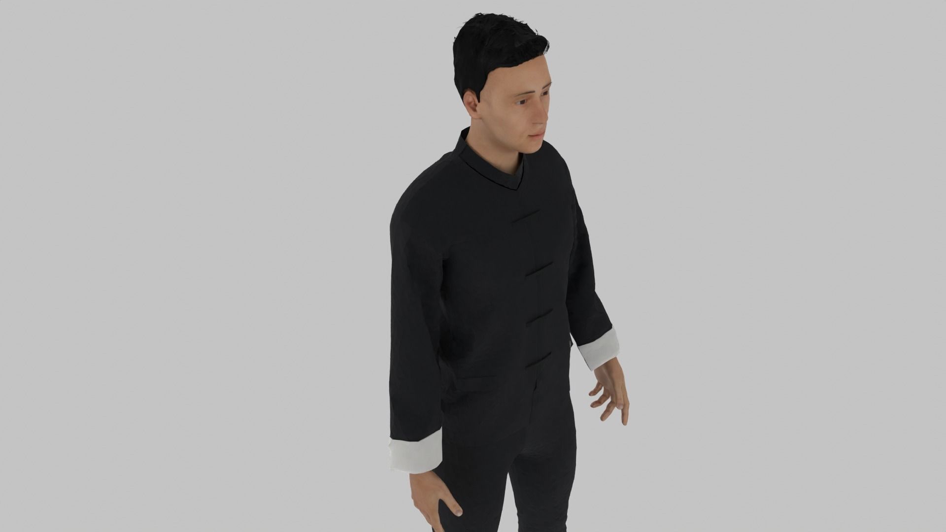 Kung Fu Fighter Low-poly 3D model_5