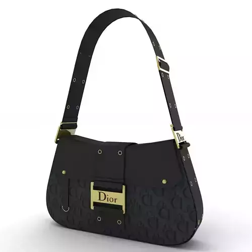 Dior Street Chic Bag Black Print