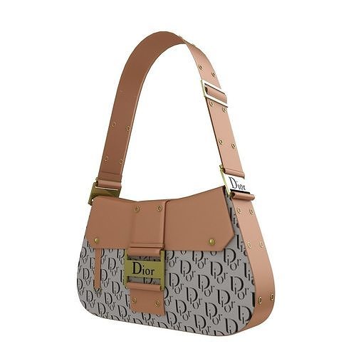 Dior Street Chic Bag Brown Black Print 3D model