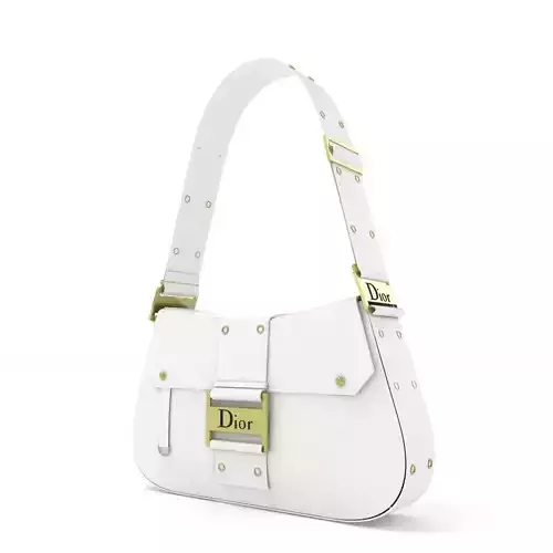 Dior Street Chic bag White Leather