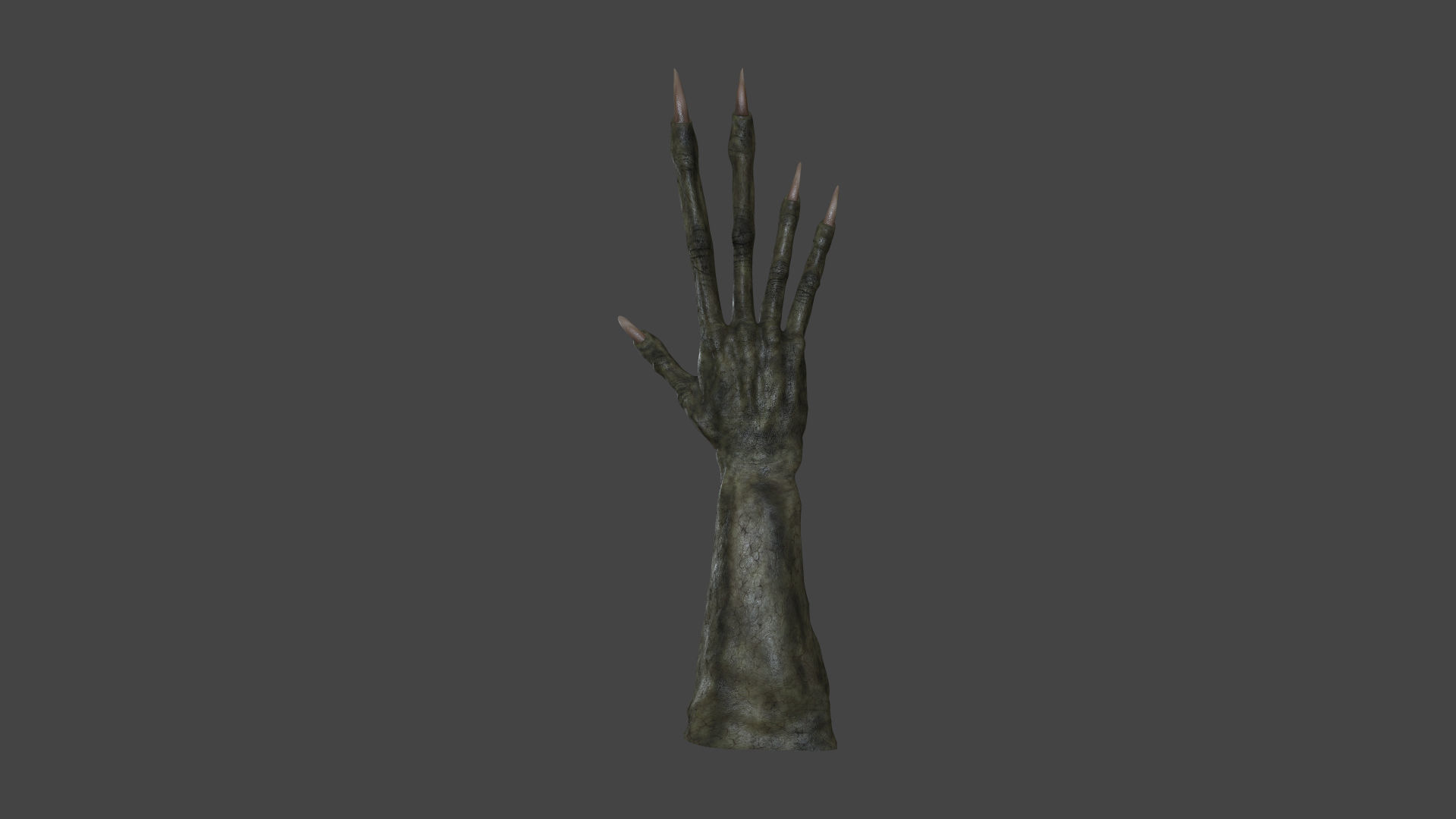 TSHR-002 Rigged right hand 3D model_4