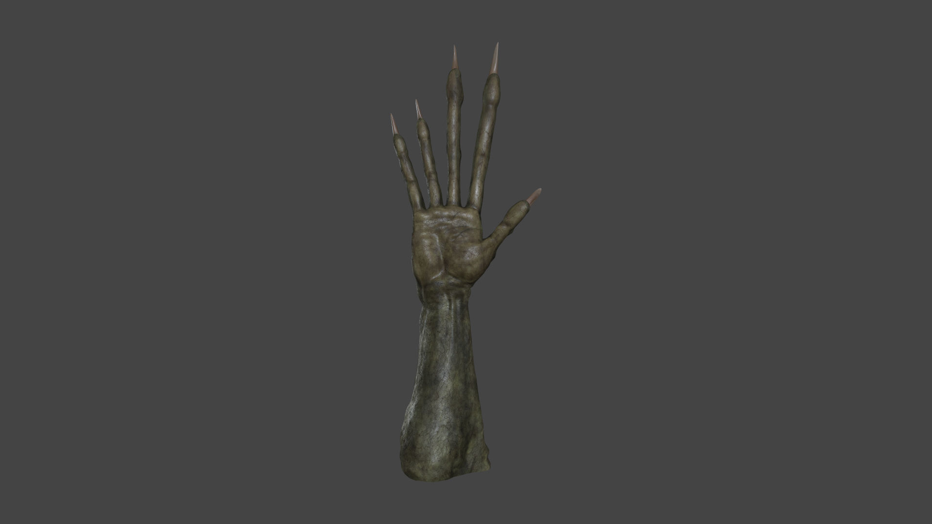 TSHR-002 Rigged right hand 3D model_3