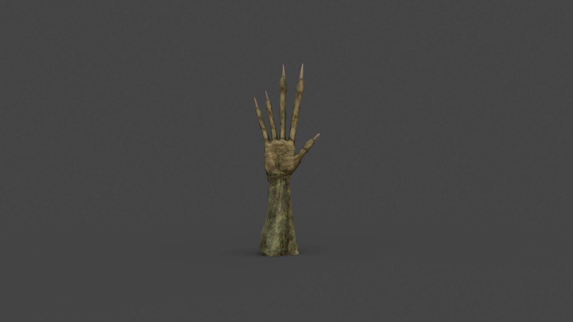 TSHR-002 Rigged right hand 3D model_5