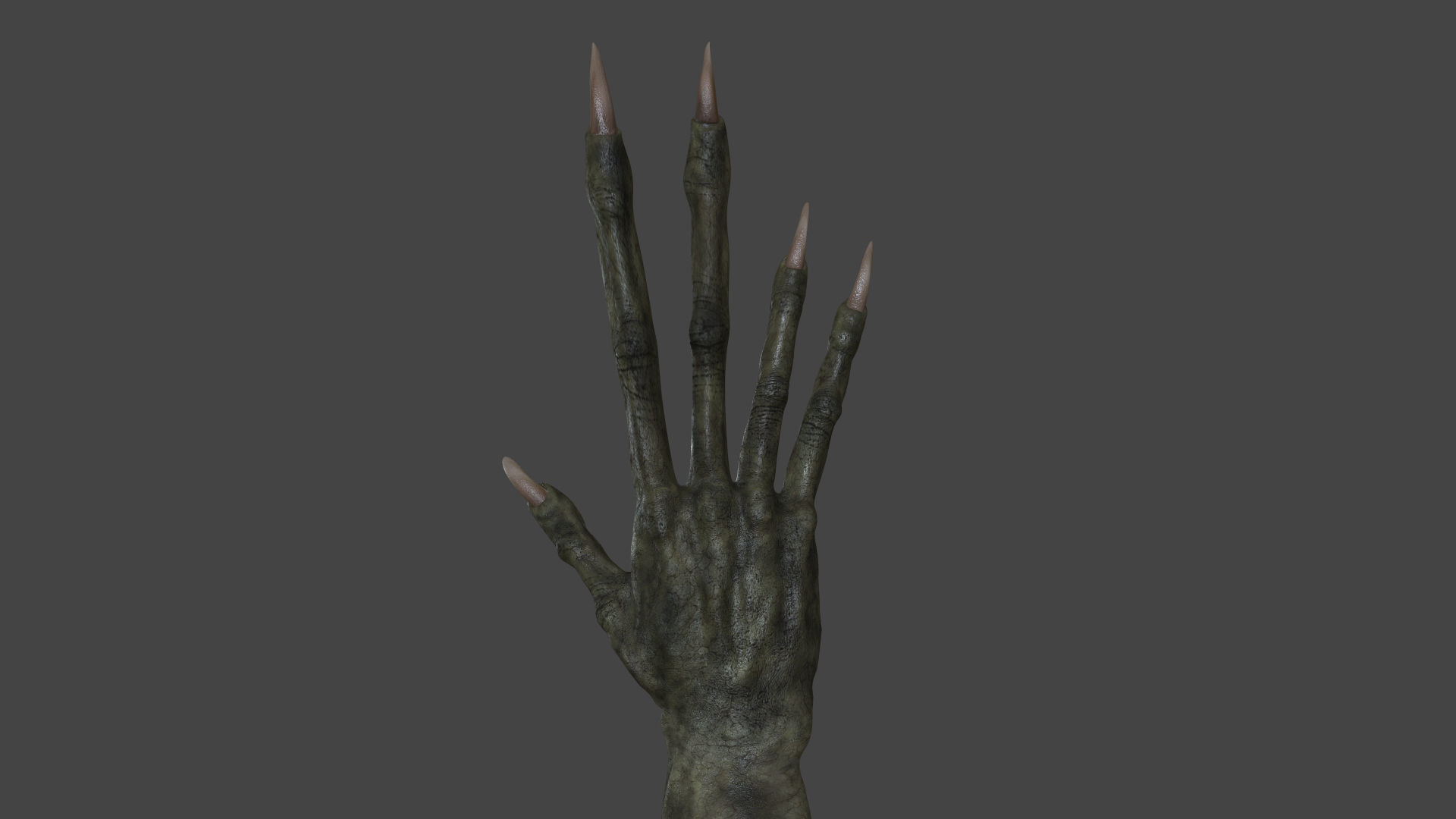 TSHR-002 Rigged right hand 3D model_2