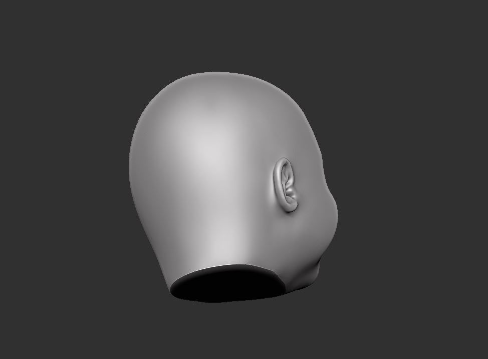 Head 57 3D print model_6