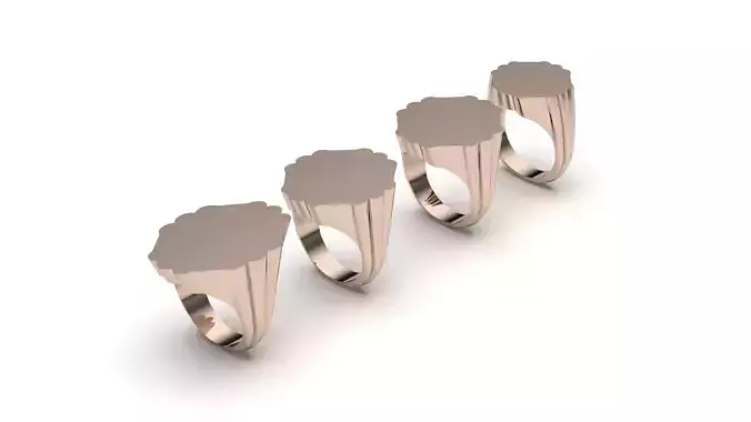 signet ring hollow and solid 8 pieces model3