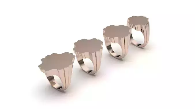 signet ring hollow and solid 8 pieces model4
