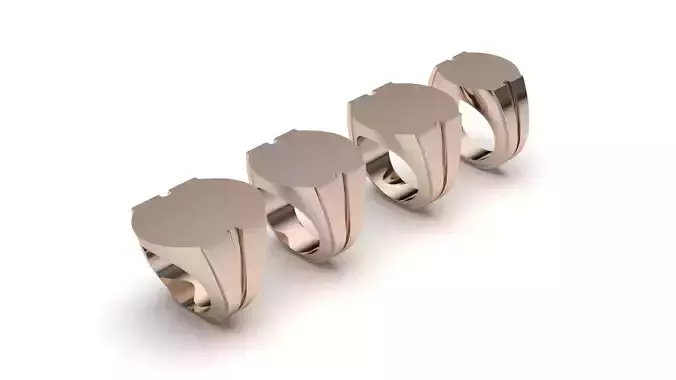 signet ring hollow and solid 8 pieces model5