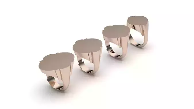 signet ring hollow and solid 8 pieces model6