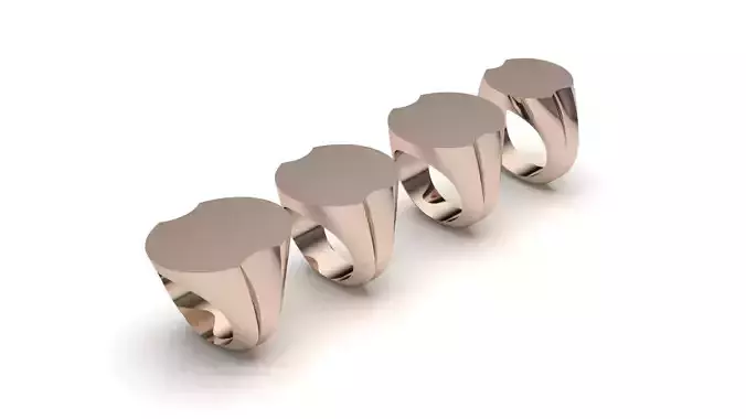 signet ring hollow and solid 8 pieces model9