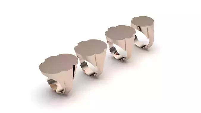 signet ring hollow and solid 8 pieces model11